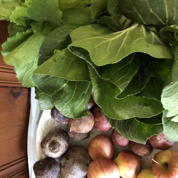 Poughkeepsie Farm Project - This week's ( May 12) farm-share; radish, chard, beets, pea shoots, apples and red bliss potatoes. - CSA Near Me - Poughkeepsie, New York