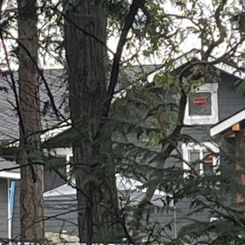 Valley Roofing & Siding - This shows some of the different Gables with a triple laminate roof. - Roofing Near Me Valley Roofing & Siding - This shows some of the different Gables with a triple laminate roof. - Roofing Near Me