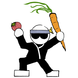 Holistic Ninja Wellness Services - Be a health ninja!