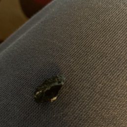 A rock A rock