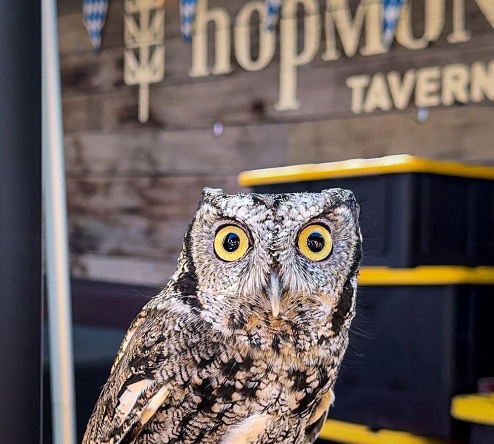 Wine Country Zoological  Logo