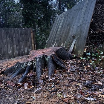 Swamp Rabbit Tree Co - Tree Services Near Me - Greenville, South Carolina Swamp Rabbit Tree Co - Tree Services Near Me - Greenville, South Carolina