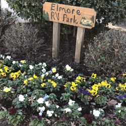 ELmore RV Park - Entrance sign. Flowers were pretty and park was clean.