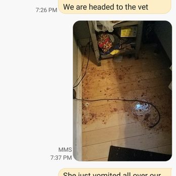 Country Dog Ranch - She vomited from the pain - Pet Training Near Me - Los Angeles, California