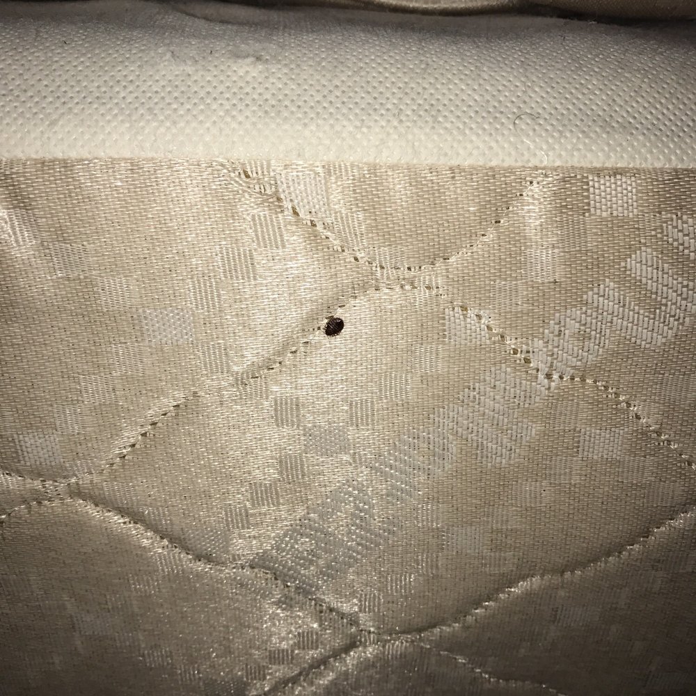 Americas Best Value - Bed bugs found in both rooms at America Best Value Inn - Hotels Near Me - Hermitage, Tennessee Americas Best Value - Bed bugs found in both rooms at America Best Value Inn - Hotels Near Me - Hermitage, Tennessee