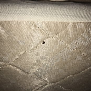 Americas Best Value - Bed bugs found in both rooms at America Best Value Inn - Hotels Near Me - Hermitage, Tennessee Americas Best Value - Bed bugs found in both rooms at America Best Value Inn - Hotels Near Me - Hermitage, Tennessee