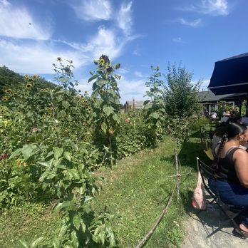 Julien's Farm Store - Breakfast & Brunch Near Me - Granby, Connecticut