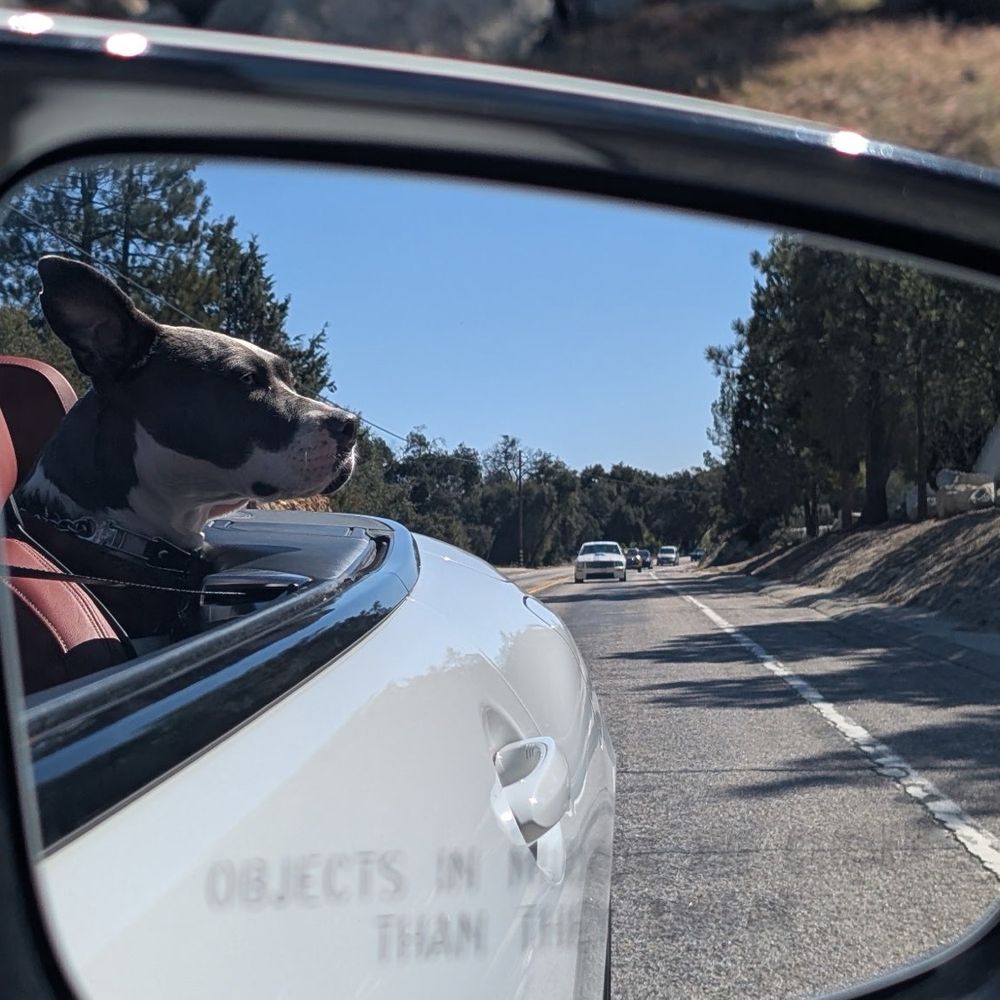 Emily's K9 Training - Dog - Pet Boarding Near Me - Castaic, California