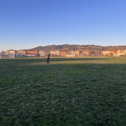 Twin creeks Park - Large green field