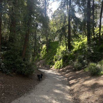 Dracena Quarry Park - Dog Parks Near Me - Piedmont, California