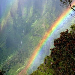 Rainbow Readings and Reiki