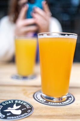 Crooked Goat Brewing by null