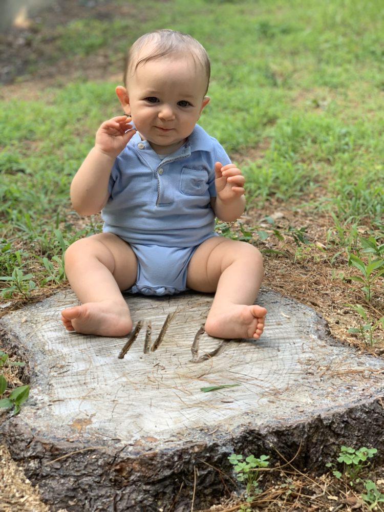 Woody Woodpecker Tree Service - tree service in Brooklyn, NY