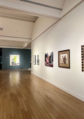 Virginia Museum of Contemporary Art by null