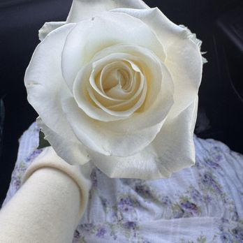 The Vase - White rose - Florists Near Me - Goose Creek, South Carolina The Vase - White rose - Florists Near Me - Goose Creek, South Carolina