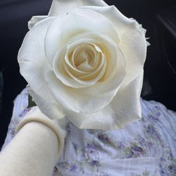 The Vase - White rose