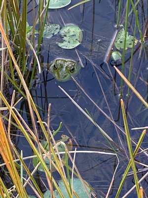 Memorial Park by null Memorial Park by null