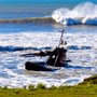 Photo of Estero Bluffs State Park