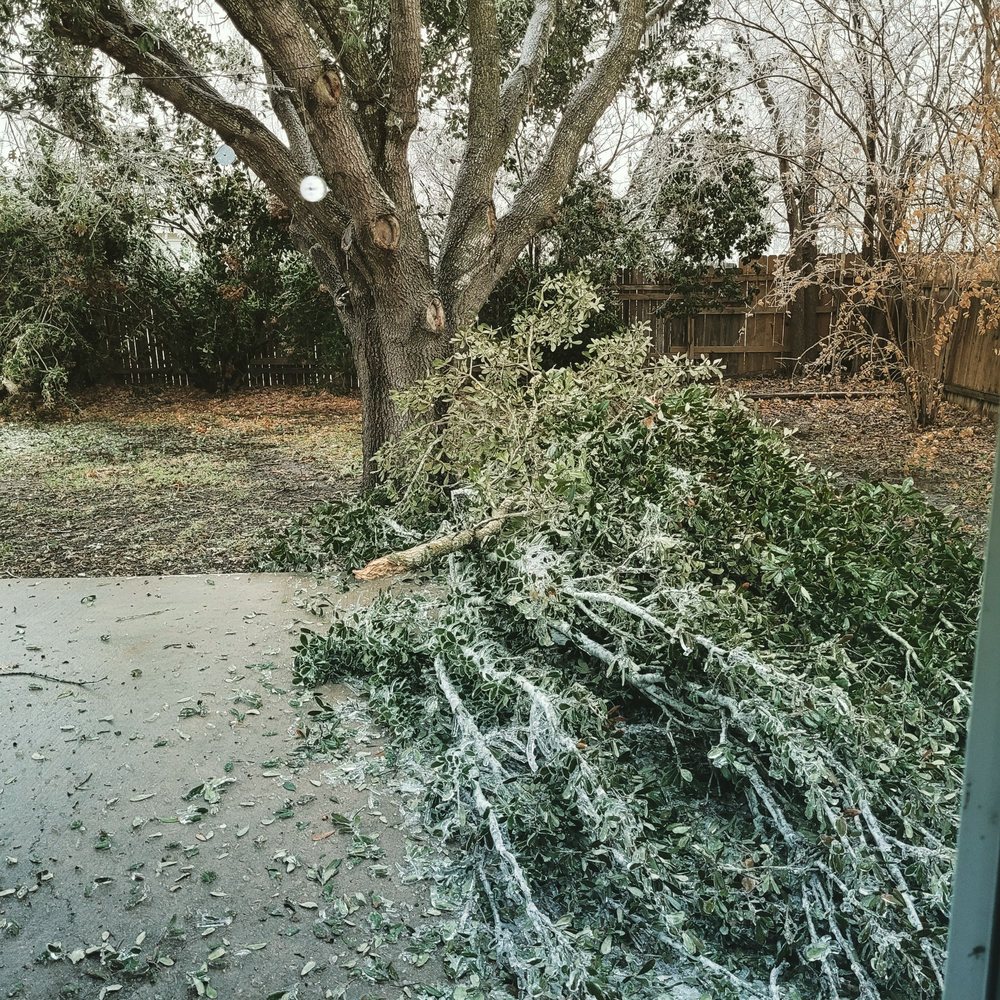 PURE Property Management of Texas - Ice storm causing tree limbs to go down. Was told prior that this was not my responsibility to clean up. - Property Management Near Me - Round Rock, Texas PURE Property Management of Texas - Ice storm causing tree limbs to go down. Was told prior that this was not my responsibility to clean up. - Property Management Near Me - Round Rock, Texas