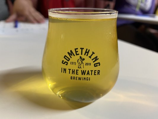 Something in the Water by null