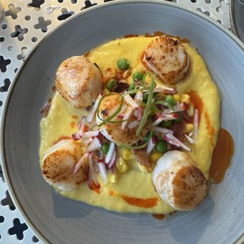 Fish House - Bay scallop appetizer - DELICIOUS - Bars Near Me - Cape May, New Jersey Fish House - Bay scallop appetizer - DELICIOUS - Bars Near Me - Cape May, New Jersey