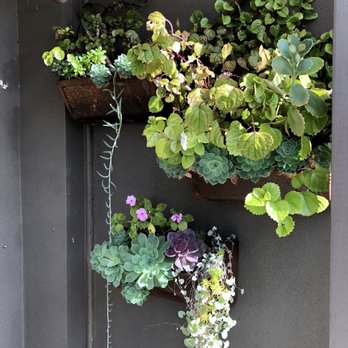 Auburn Rose - Coffee & Tea Near Me - Hawthorn East, VIC