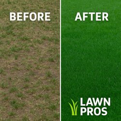 Lawn Pros - Before: neglected. After: perfected. Lawn Pros delivers results that last.
