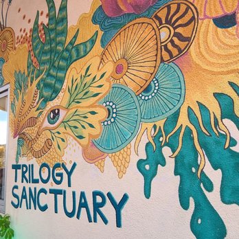 Trilogy Sanctuary - One of many IG worthy photo opps - Juice Bars & Smoothies Near Me - La Jolla, California