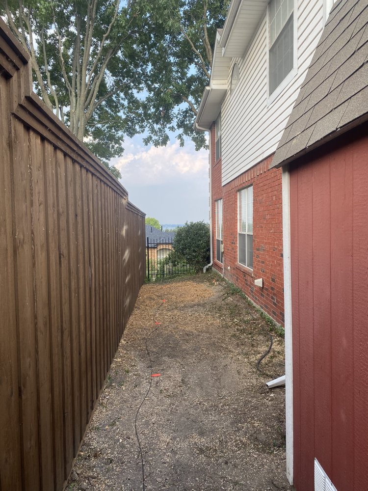 Cabrera Tree Service - tree service in Dallas, TX