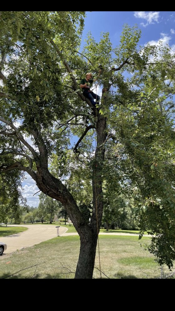 CLP Property Management and Tree Removal Limited  - tree service in Iowa City, IA