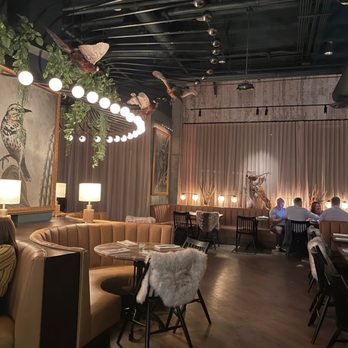 Wren & Wolf - Cocktail Bars Near Me - Phoenix, Arizona Wren & Wolf - Cocktail Bars Near Me - Phoenix, Arizona