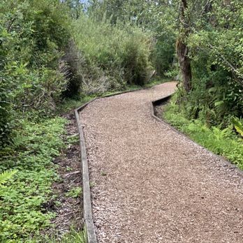 Scriber Lake Park - Parks Near Me - Lynnwood, Washington Scriber Lake Park - Parks Near Me - Lynnwood, Washington