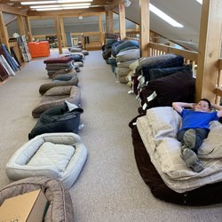 Orvis Retail Store - Dog beds are a great resting spot for a busy young man too!!