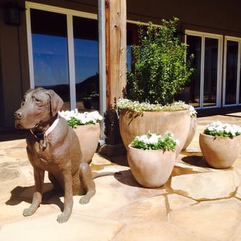 Shafer Vineyards - The Mascot, Tucker, now bronzed - Wineries Near Me - Napa, California Shafer Vineyards - The Mascot, Tucker, now bronzed - Wineries Near Me - Napa, California