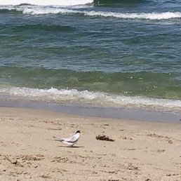 Deerfield Beach
