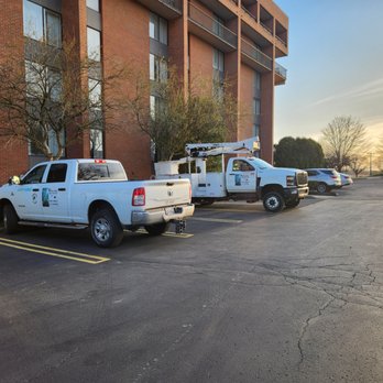 Freel Deal Tree Services - Tree Services Near Me - Southgate, Michigan Freel Deal Tree Services - Tree Services Near Me - Southgate, Michigan