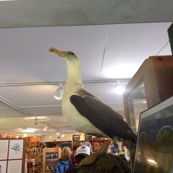 Koke'e Natural History Museum - Museums Near Me - Kekaha, Hawaii