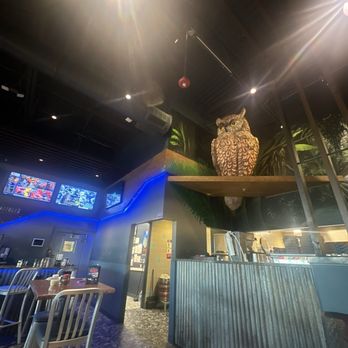Mellow Mushroom Wesley Chapel - Pizza Near Me - Lutz, Florida