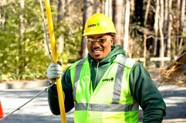 THE DAVEY TREE EXPERT COMPANY Updated March 2025 12 Photos & 16