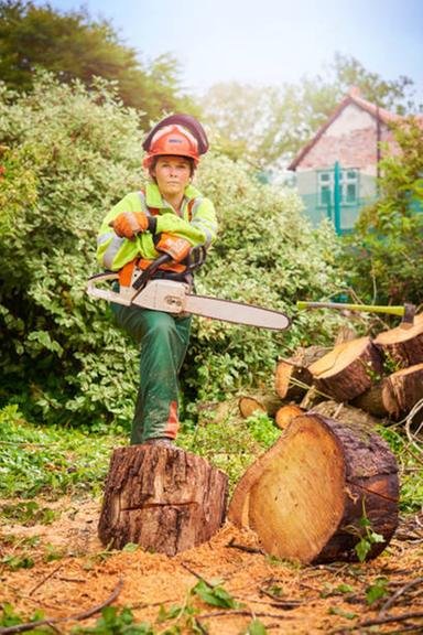 Absolute Tree Surgeons - tree service in Chesapeake, VA