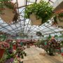 Photo of K C  Hardin Greenhouse & Garden Center