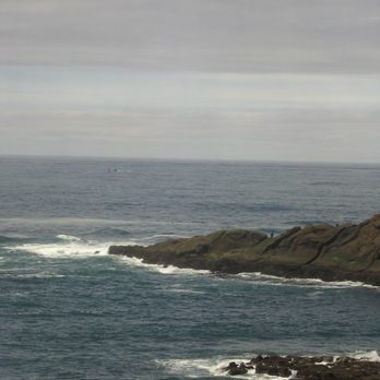 Tidal Raves - New American Near Me - Depoe Bay, Oregon Tidal Raves - New American Near Me - Depoe Bay, Oregon