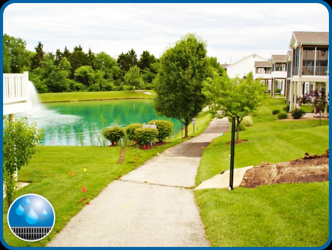 Slide of Drainage Team