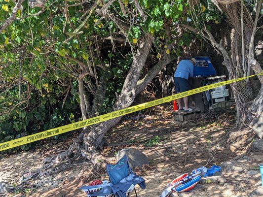 Laniakea Beach by null