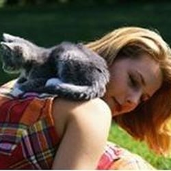 Abington Animal Hospital