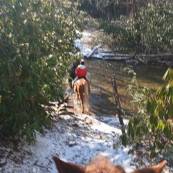 Saddle Up Trail Rides - 2 hour trail with river crossing
