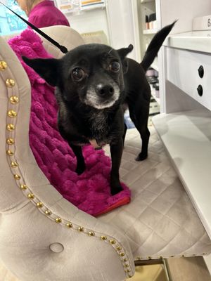 AJ Cove Nails & Spa by null