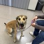 Photo of Humane Colorado