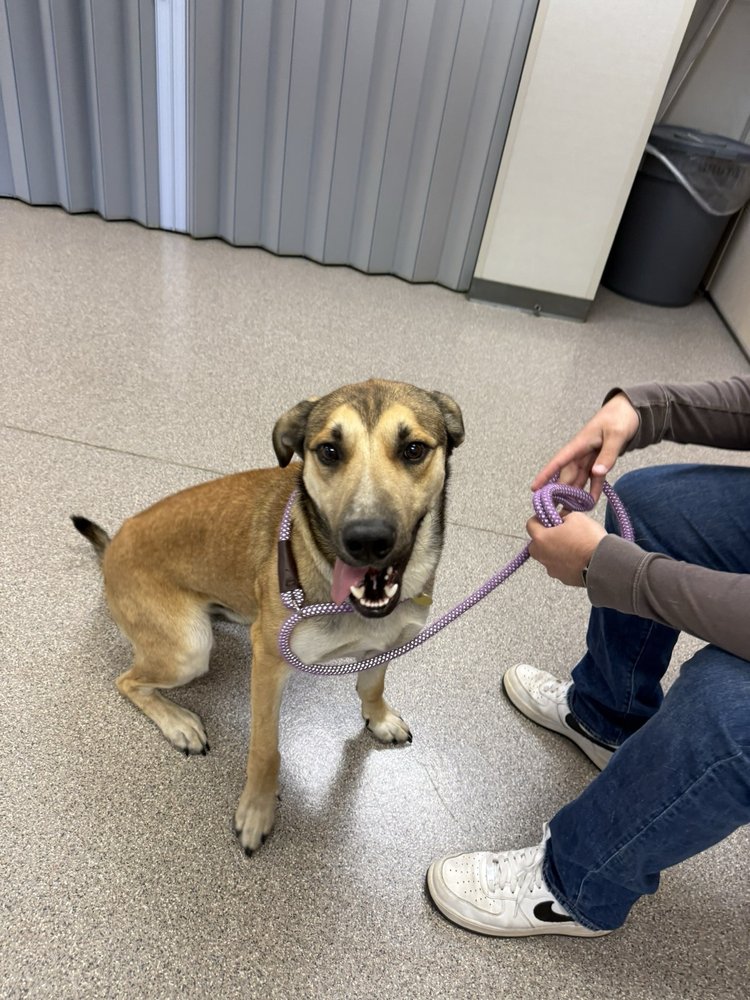 HUMANE COLORADO - Updated April 2026 - 46 Photos & 55 Reviews - 4556 ...