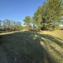 Photo of Marshall Lawncare